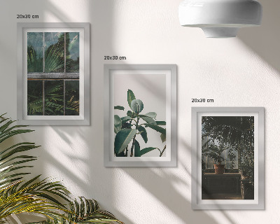 Triptych v ráme Zelené listy na okne a rastliny vo vnútri