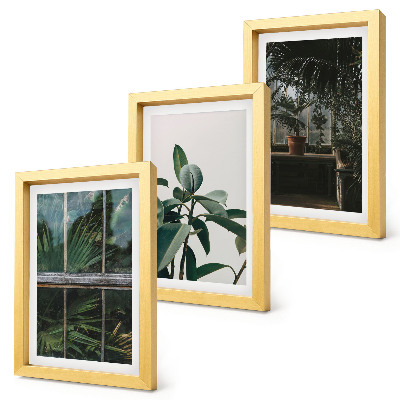 Triptych v ráme Zelené listy na okne a rastliny vo vnútri