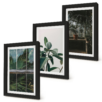 Triptych v ráme Zelené listy na okne a rastliny vo vnútri