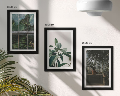 Triptych v ráme Zelené listy na okne a rastliny vo vnútri