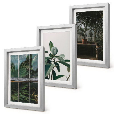Triptych v ráme Zelené listy na okne a rastliny vo vnútri