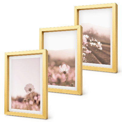Triptych v ráme Divoké kvety na lúkach v lete, romantické krajiny