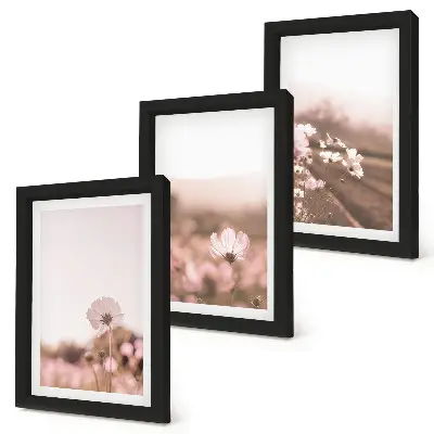 Divoké kvety na lúkach v lete, romantické krajiny triptych v ráme