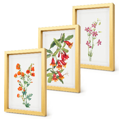 Triptych v ráme Vintage retro kvetinový obraz