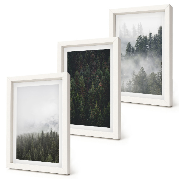 Triptych v ráme Zelené lesy v hmlistom prírodnom prostredí