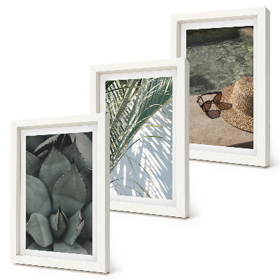 Triptych v ráme Tropické rastliny a letné sviatočné doplnky
