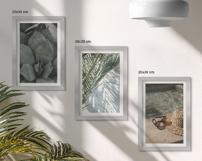 Triptych v ráme Tropické rastliny a letné sviatočné doplnky