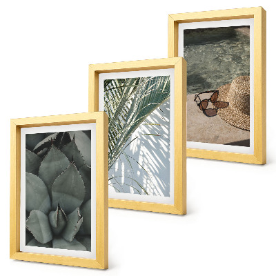 Triptych v ráme Tropické rastliny a letné sviatočné doplnky