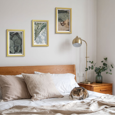 Triptych v ráme Tropické rastliny a letné sviatočné doplnky