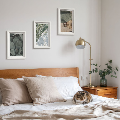 Triptych v ráme Tropické rastliny a letné sviatočné doplnky
