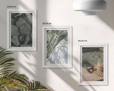 Triptych v ráme Tropické rastliny a letné sviatočné doplnky