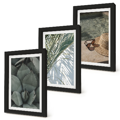 Triptych v ráme Tropické rastliny a letné sviatočné doplnky