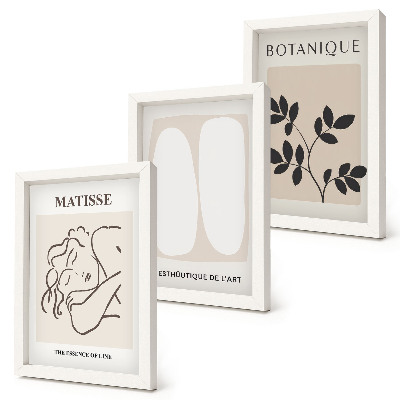 Triptych v ráme Štýlové minimalistické obrazy s rastlinnými motívmi od Matissea