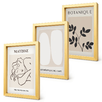 Triptych v ráme Štýlové minimalistické obrazy s rastlinnými motívmi od Matissea