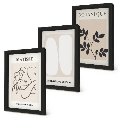 Triptych v ráme Štýlové minimalistické obrazy s rastlinnými motívmi od Matissea