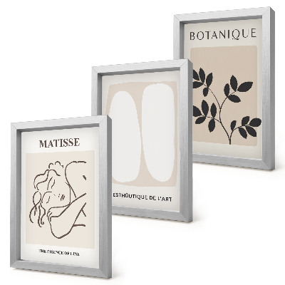 Triptych v ráme Štýlové minimalistické obrazy s rastlinnými motívmi od Matissea