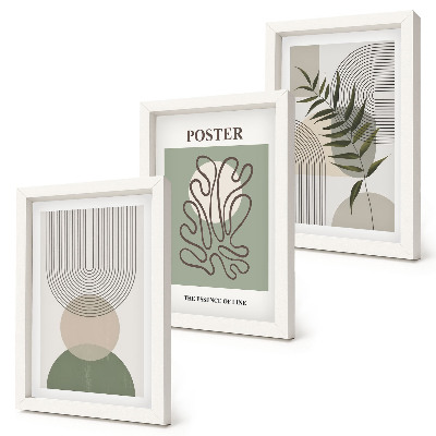 Triptych v ráme Plagát s geometrickými abstraktnými botanickými vzormi
