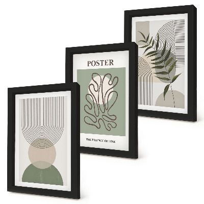 Triptych v ráme Plagát s geometrickými abstraktnými botanickými vzormi