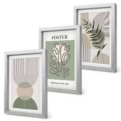 Triptych v ráme Plagát s geometrickými abstraktnými botanickými vzormi