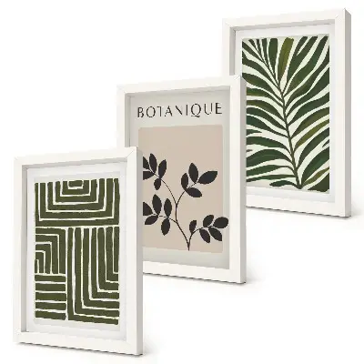 Sada obrazov do obývačky botanické kompozície v štýle boho minimalizmus