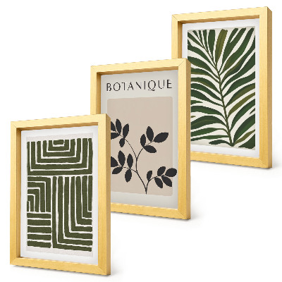 Sada obrazov do obývačky Botanické kompozície v štýle boho minimalizmu