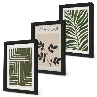 Sada obrazov do obývačky Botanické kompozície v štýle boho minimalizmu