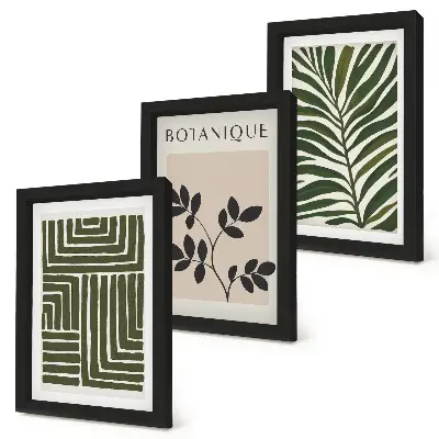 Sada obrazov do obývačky botanické kompozície v štýle boho minimalizmus