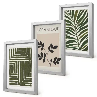 Sada obrazov do obývačky botanické kompozície v štýle boho minimalizmus