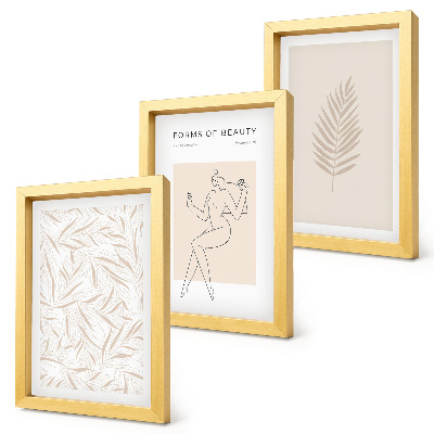 Triptych v ráme Minimalistické botanické dizajnové motívy