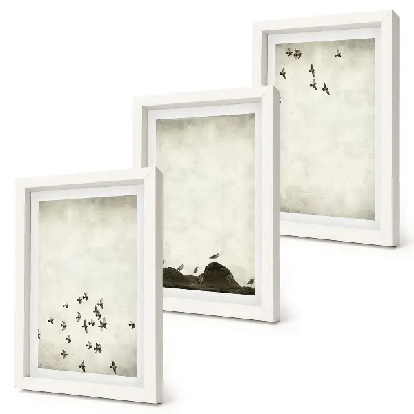 Vtáky za letu v minimalistickom štýle triptych v ráme