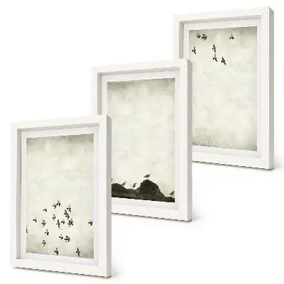 Vtáky za letu v minimalistickom štýle triptych v ráme