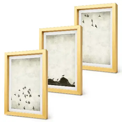 Vtáky za letu v minimalistickom štýle triptych v ráme