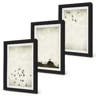 Vtáky za letu v minimalistickom štýle triptych v ráme