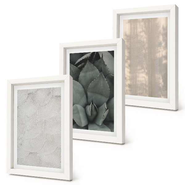Triptych v ráme Letné textúry detailný záber v tropickom podnebí
