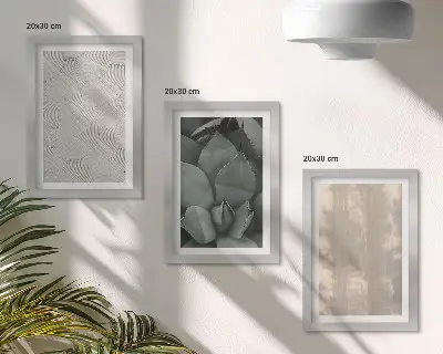 Triptych v ráme letné textúry s detailným záberom v tropickom podnebí