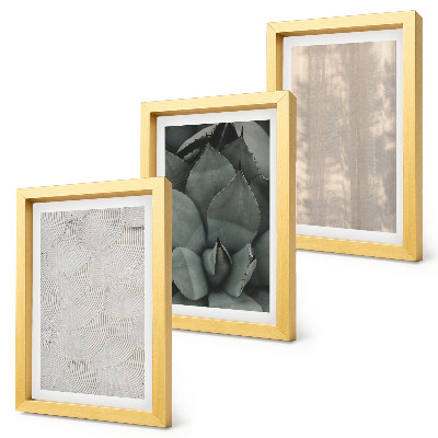 Triptych v ráme Letné textúry detailný záber v tropickom podnebí
