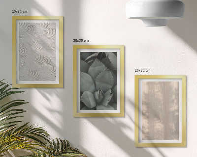 Triptych v ráme Letné textúry detailný záber v tropickom podnebí