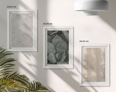 Triptych v ráme Letné textúry detailný záber v tropickom podnebí