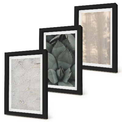 Triptych v ráme Letné textúry detailný záber v tropickom podnebí