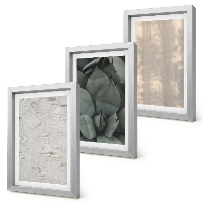 Triptych v ráme Letné textúry detailný záber v tropickom podnebí