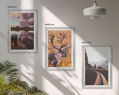 Nástenná galéria Horské krajiny so sobmi
