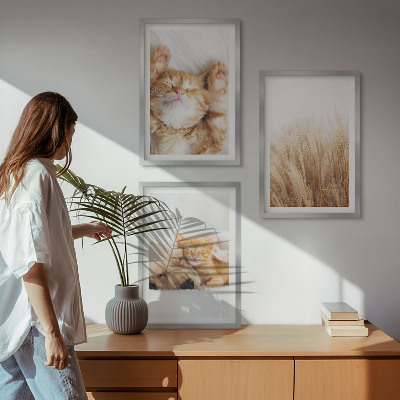 Sada nástenných dekorácií Roztomilé zvieratá mačky psy boho