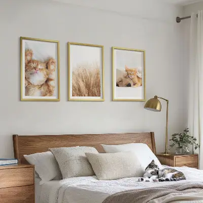 Sada nástenných dekorácií roztomilé zvieratá mačky a psy v štýle boho
