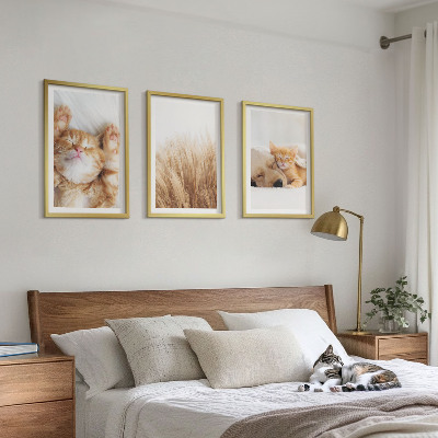 Sada nástenných dekorácií Roztomilé zvieratá mačky psy boho