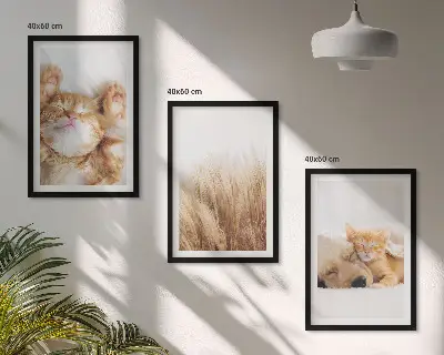 Sada nástenných dekorácií roztomilé zvieratá mačky a psy v štýle boho