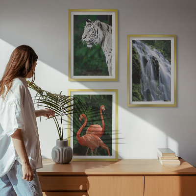 Nástenná galéria Tiger vodopád plameniaky príroda