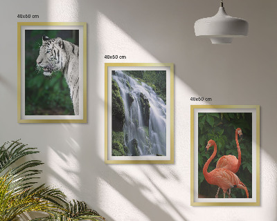 Nástenná galéria Tiger vodopád plameniaky príroda