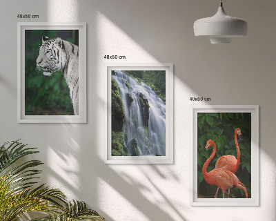 Nástenná galéria Tiger vodopád plameniaky príroda
