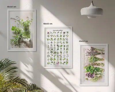 Sada nástenných dekorácií so sušenými bylinkami do kuchyne