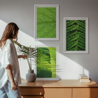 Sada nástenných dekorácií Makrofotografia tropických listov
